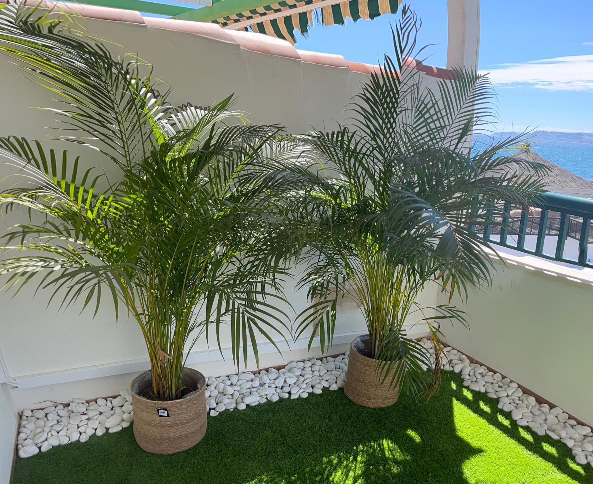 Apartmán Vista Bella Salobreña Exteriér fotografie